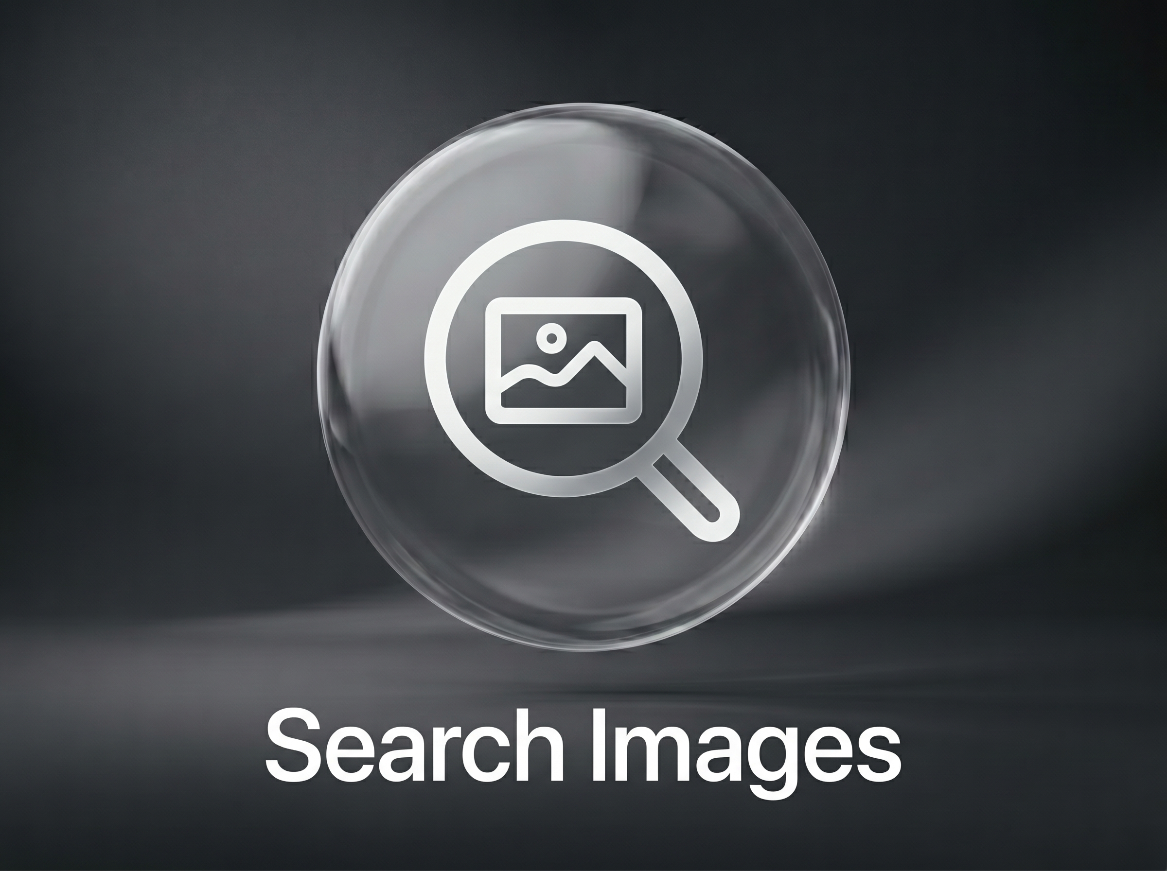 Search Images.jpeg