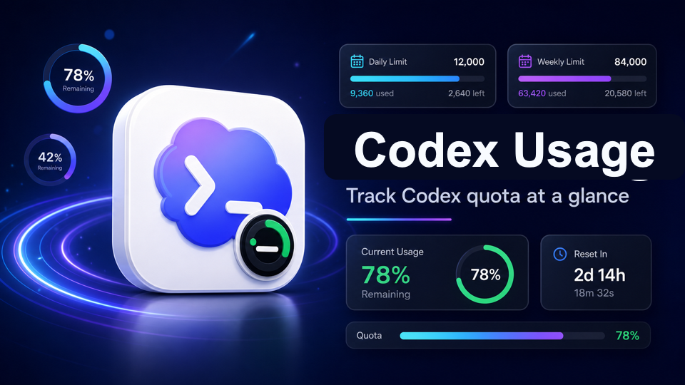Codex Usage 概览