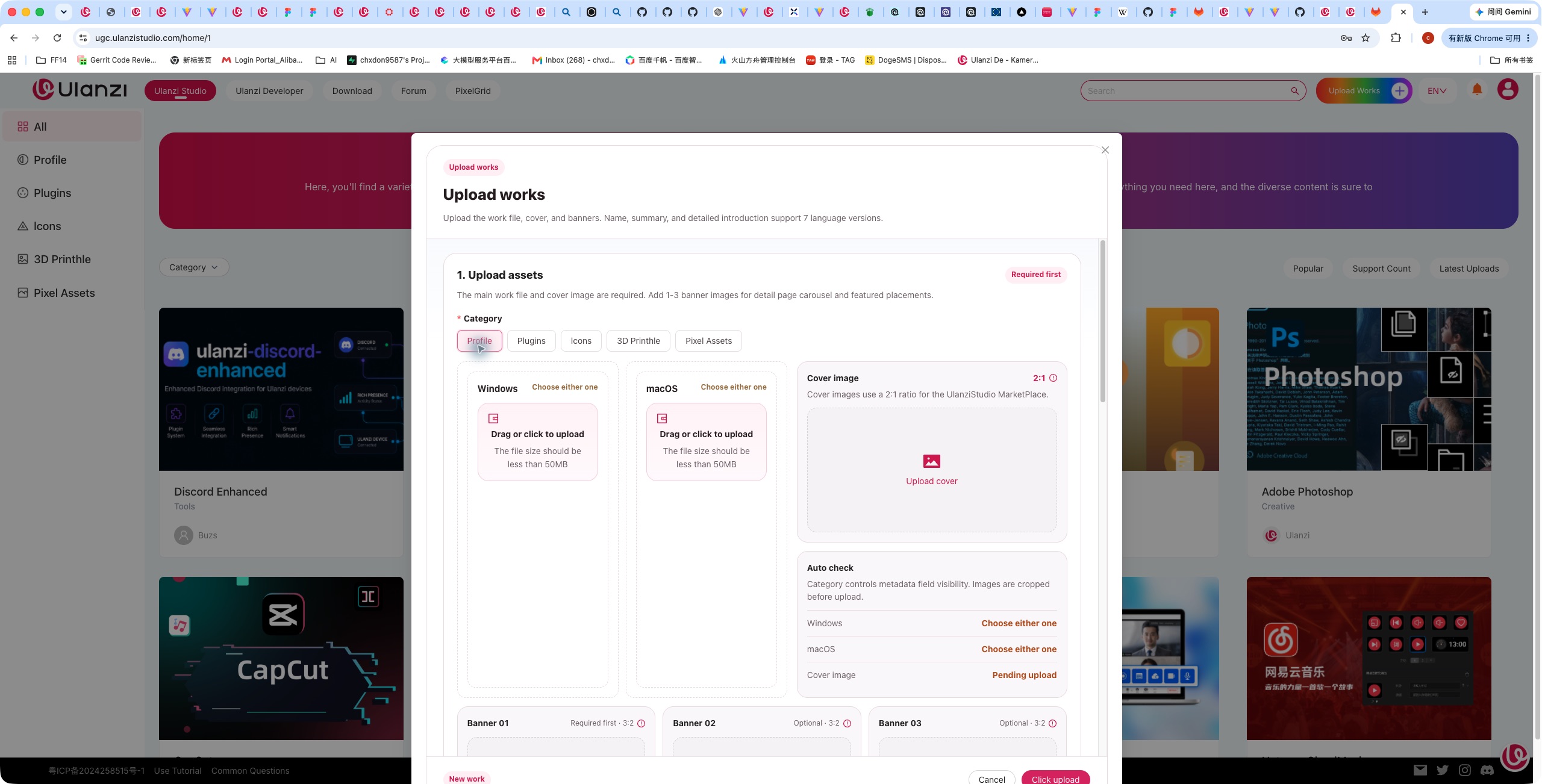 选择 Profile 后出现 Windows、macOS 两个文件框